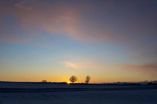 日が暮れていく雪原 日が暮れていく雪原 冬,夕日,木の写真素材