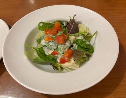 野菜サラダ サラダ,トマト,レタスの写真素材