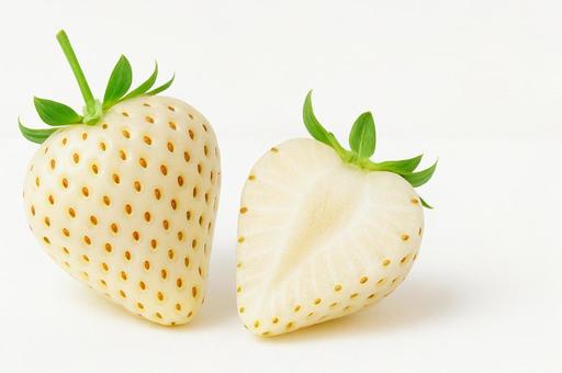 白いいちご 白いいちごの写真