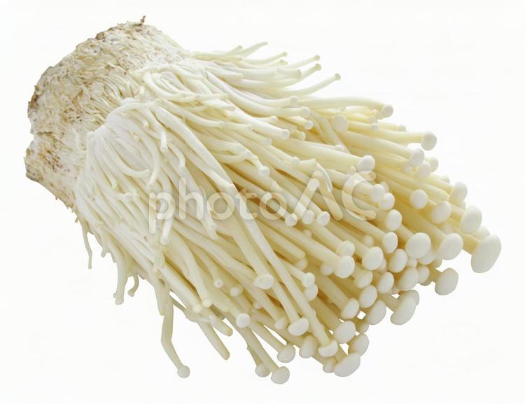 えのき（PSDは切抜用パス付） きのこ,えのき,えのき茸の写真素材