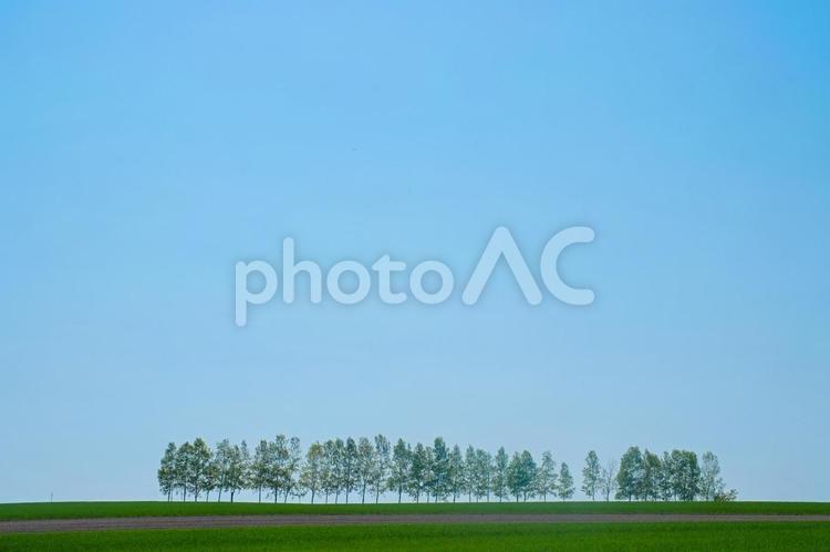 北海道の風景 青空,青,空の写真素材