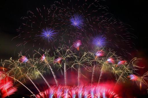 なにわ淀川花火大会2025 花火,なにわ淀川花火大会,夜空の写真素材