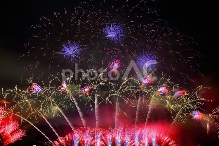 なにわ淀川花火大会2025 花火,なにわ淀川花火大会,夜空の写真素材