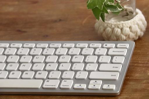 キーボードと観葉植物 デスクワーク,キーボード,ワークスペースの写真素材