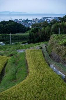 ［街角スナップ］島の風景｜淡路島 淡路島,兵庫県,淡路市の写真素材