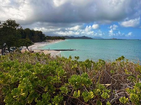 ハワイ ビーチ 海岸 ハワイ ビーチ 海岸 ハワイ,海岸,ビーチの写真素材