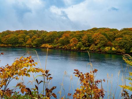 紅葉の栗駒山(須川岳) 紅葉の栗駒山(須川岳) 栗駒山,須川岳,神の絨毯の写真素材