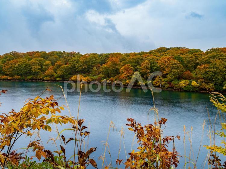 紅葉の栗駒山（須川岳） 栗駒山,須川岳,神の絨毯の写真素材
