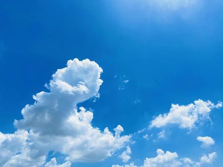夏空と太陽 夏空と太陽 夏,空,青空の写真素材