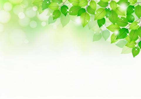 Leaf background / frame, JPG Leaf background / frame, frame, summer, leaf, JPG