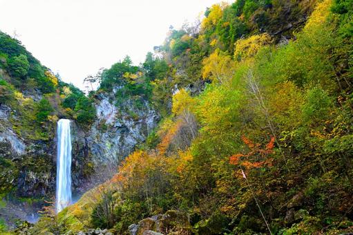 紅葉に包まれた 秋の平湯大滝 紅葉に包まれた 秋の平湯大滝 平湯大滝,滝,日本の滝百選の写真素材