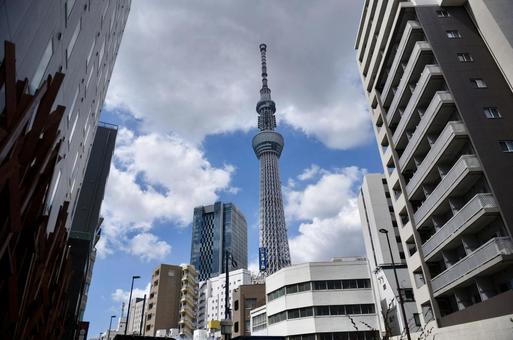 スカイツリー スカイツリー 夜景,ビル,ビル街の写真素材