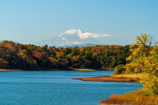 多摩湖の紅葉と富士山 多摩湖,紅葉,富士山の写真素材