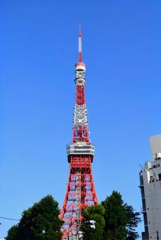 東京タワーと青空 東京タワーと青空の写真