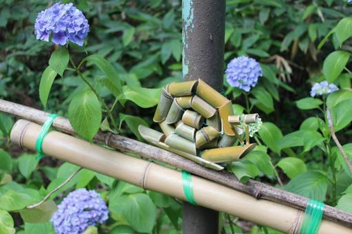 あじさい22 あじさい22の写真