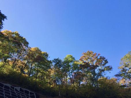 秋晴れの空と山道の斜面 秋晴れの空と山道の斜面 青空,空,秋の写真素材