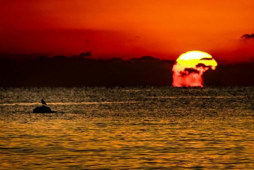 ＜素材＞海に沈む夕日と岩の上のカモメ 海,サンセット,夜明けの写真素材