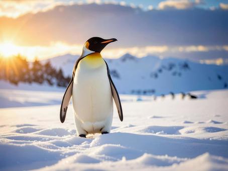 ペンギン AI生成画像 ペンギン AI生成画像 の写真