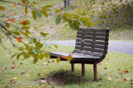 色づき始めた葉と木製のベンチ ベンチ,木製,休憩の写真素材