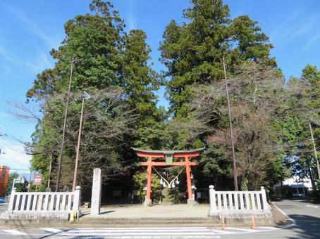 矢板市木幡神社 木幡神社,鳥居,参道の写真素材