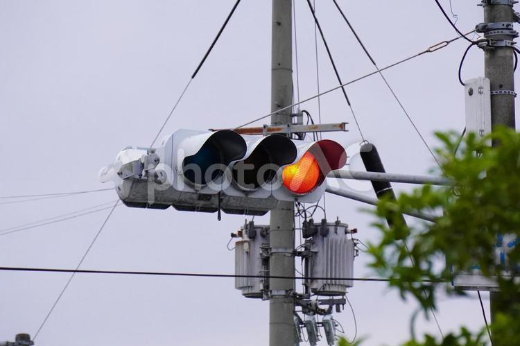 交差点の信号機 信号機,交差点,電柱の写真素材