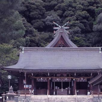 島根県-物部神社-拝殿 物部神社,神社,石見国の写真素材