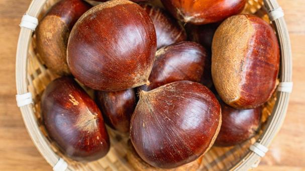 栗 愛媛県産 栗,愛媛県産,竹ざるの写真素材