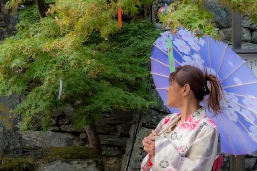 宇加賀神社 宇加賀神社,和装,和服の写真素材