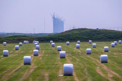 風力発電所と牧草ロール 風力発電所と牧草ロール 風車,牧草ロール,風力タービンの写真素材