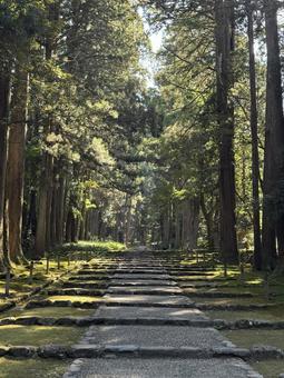 平泉寺白山神社① 平泉寺白山神社①の写真