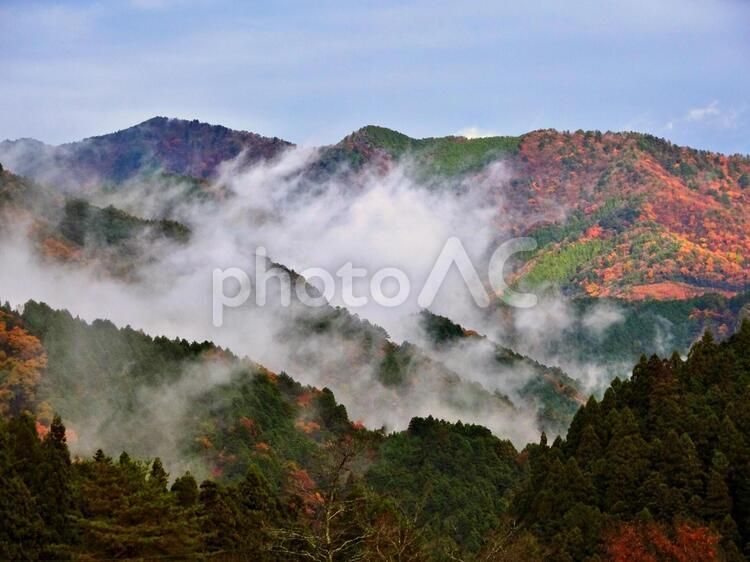 晩秋　雨上がりの山並み 山並み,靄,霧の写真素材