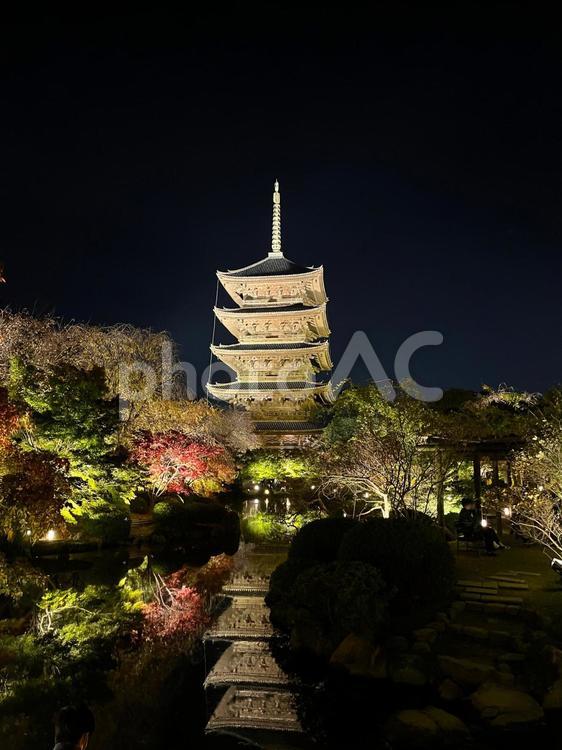 京都　東寺　五重塔_3 五重塔,神社,京都の写真素材