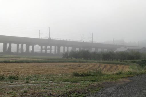 霧深い朝　その１ 風景,草,土の写真素材