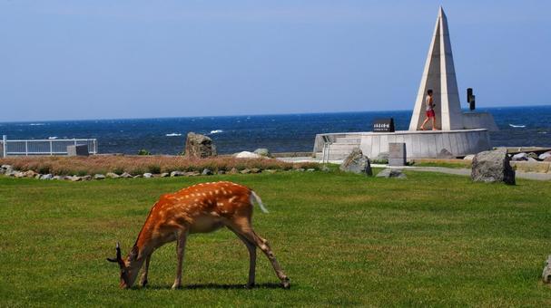 宗谷岬 宗谷岬 風景,記念碑,宗谷岬の写真素材
