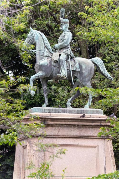 小松宮彰仁親王像（上野公園） 上野,上野公園,観光の写真素材