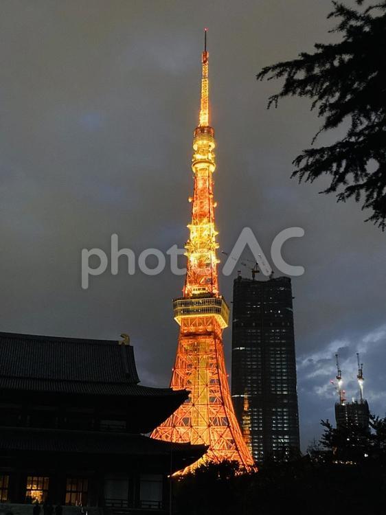 増上寺のシルエットと東京タワー タワー,とうきょうタワー,夜景の写真素材