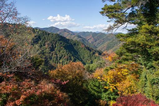 高尾山からの風景 高尾山,紅葉,秋の写真素材