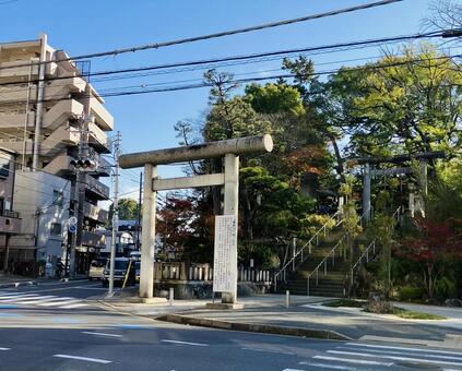 船橋大神宮　意富比神社　西一之鳥居 船橋大神宮,意富比神社,千葉県船橋市の写真素材