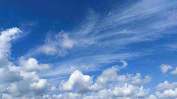 札幌の夏 入道雲と夏の青空 札幌の夏 入道雲と夏の青空 青空,夏,空の写真素材