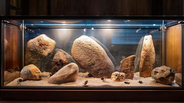 石器時代の展示 石器時代の展示の写真