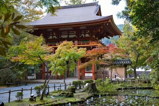 晩秋の室生寺　仁王門 紅葉,晩秋,風景の写真素材
