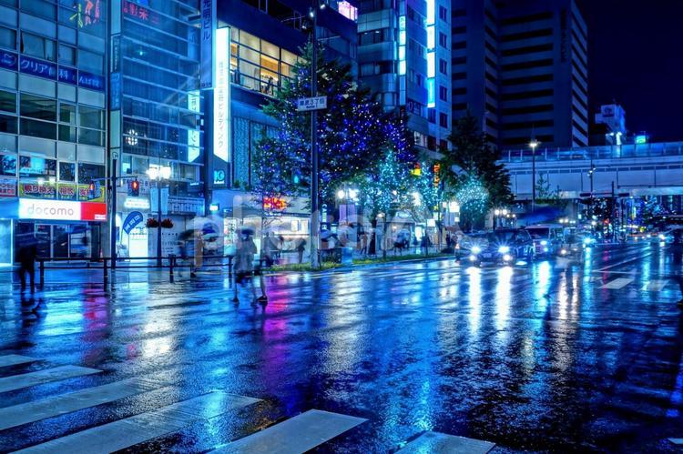雨の奏でる青い街 大阪,難波,都会の写真素材