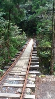 トロッコ道 トロッコ道 鹿児島県,屋久島,廃線の写真素材