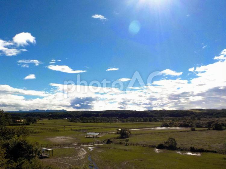 北海道新冠牧場 雲,青空,草原の写真素材