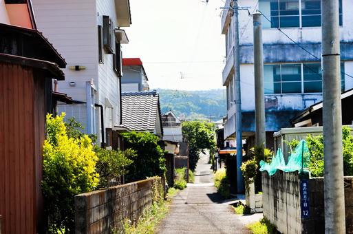 指宿市 指宿市の写真