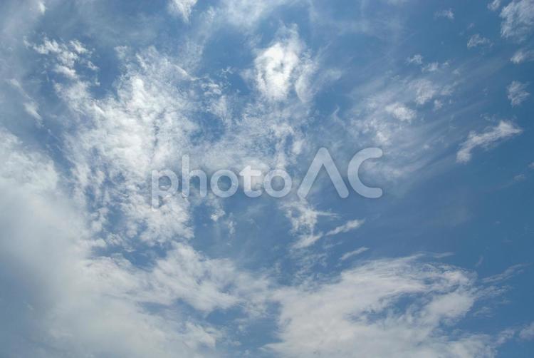 夏の信州の空 夏,雲,ふわふわの写真素材
