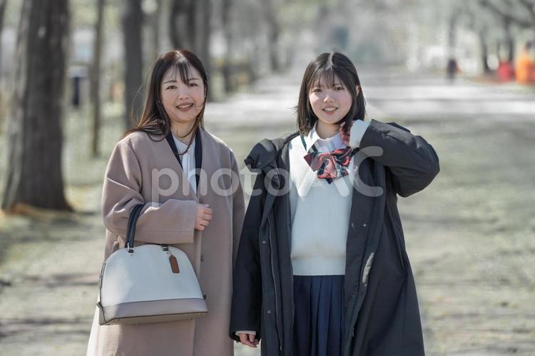 並木道と親子 並木道と親子 女子高生,制服,リボンの写真素材