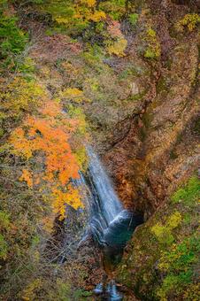 福島県　磐梯吾妻スカイラインの風景 磐梯吾妻スカイライン,福島,福島県の写真素材