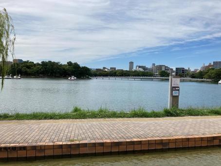 Photo, ohori park, park, lake, 