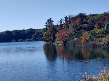 愛知池 愛知,池,晩秋の写真素材